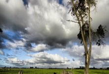 亚洲断档日本首发全留洋身价2.1亿欧 三笘薰4500万&8人破千万.