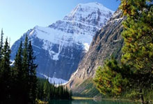 星空体育：业内人士谈塞鸟：“老外”大场面不怯场 没有中国球员那么多包袱.