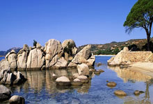 郑钦文第六次挑战萨巴伦卡会有惊喜发生？赛前已被博彩公司轻视.